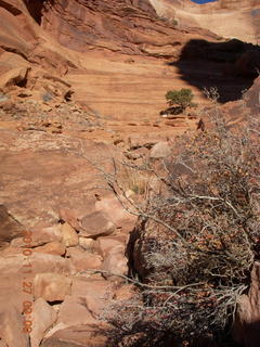 54 7dt. Moab trip - Canyonlands Lathrop hike
