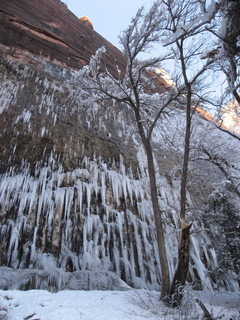 Zion National Park trip - Sheri's pictures - Weeping Rock hike - icicles