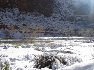 114 7f1. Zion National Park trip - Sheri's pictures