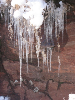 231 7f1. Zion National Park trip - Sheri's pictures