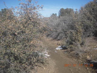 Prescott hike with Verna - library timeline