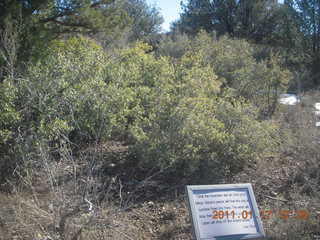 Prescott hike with Verna - Acker Park