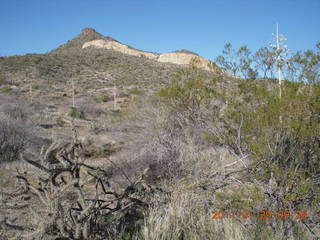 McDowell-Sonoran Challenge