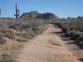 McDowell-Sonoran Challenge