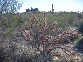 McDowell-Sonoran Challenge - Kevin stretching