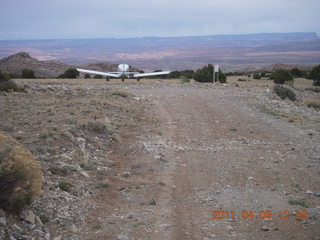 Eagle City airstrip run - flora