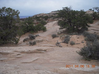 Canyonlands vista view
