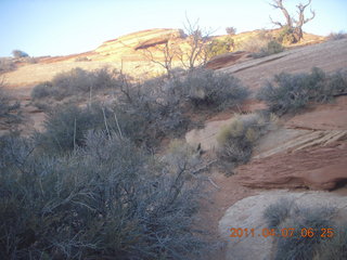 13 7j7. Canyonlands Lathrop hike/run