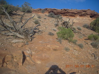 18 7j7. Canyonlands Lathrop hike/run