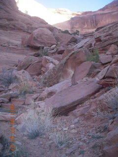 40 7j7. Canyonlands Lathrop hike/run