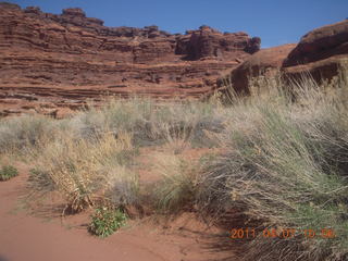 116 7j7. Canyonlands Lathrop hike/run