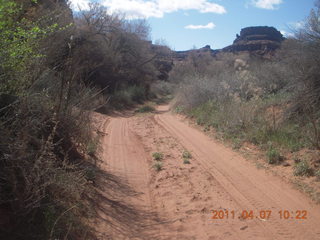 127 7j7. Canyonlands Lathrop hike/run
