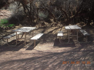 Canyonlands Lathrop hike/run - riverside picnic tables
