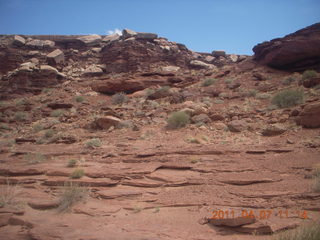 147 7j7. Canyonlands Lathrop hike/run