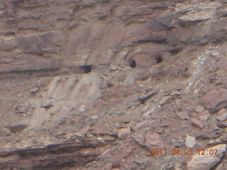 179 7j7. Canyonlands Lathrop hike/run - uranium mines?