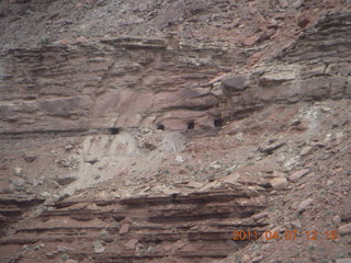 188 7j7. Canyonlands Lathrop hike/run - uranium mines?