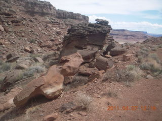 191 7j7. Canyonlands Lathrop hike/run