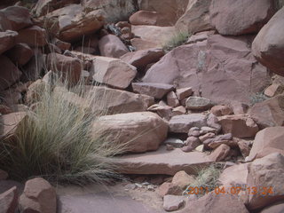 210 7j7. Canyonlands Lathrop hike/run