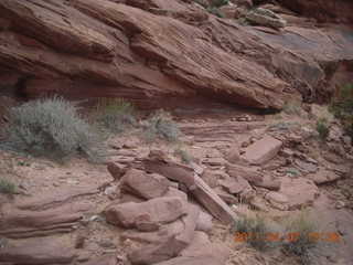219 7j7. Canyonlands Lathrop hike/run