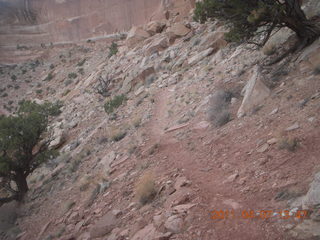 223 7j7. Canyonlands Lathrop hike/run