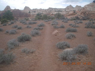 235 7j7. Canyonlands Lathrop hike/run