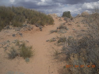 249 7j7. Canyonlands Lathrop hike/run