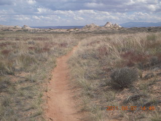 253 7j7. Canyonlands Lathrop hike/run