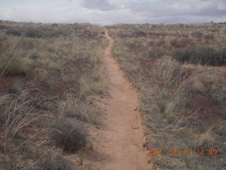 254 7j7. Canyonlands Lathrop hike/run