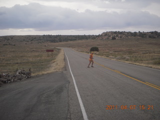 278 7j7. Canyonlands road - Adam running