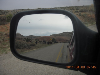 drive south from Moab - VW bus in mirror