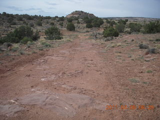 31 7j8. dirt road drive to Anticline Overlook
