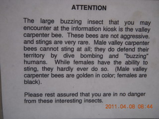 Anticline Overlook - sign about bees