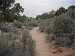 177 7j8. Canyonlands Needles - Roadside Ruin hike