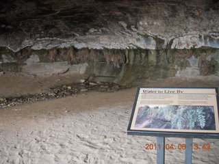 Canyonlands Needles - Cave Spring hike sign