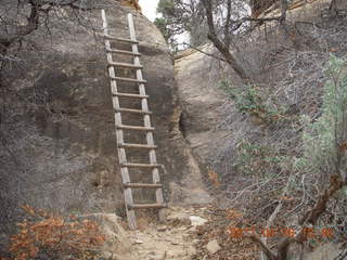 201 7j8. Canyonlands Needles - Cave Spring hike - ladder