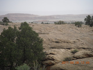 203 7j8. Canyonlands Needles - Cave Spring hike
