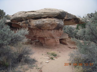 212 7j8. Canyonlands Needles - Cave Spring hike