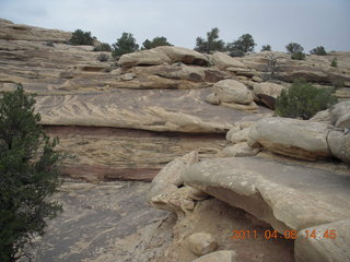 227 7j8. Canyonlands Needles Slickrock hike