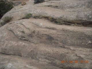239 7j8. Canyonlands Needles Slickrock hike
