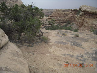 241 7j8. Canyonlands Needles Slickrock hike