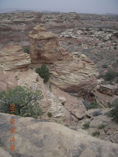 244 7j8. Canyonlands Needles Slickrock hike