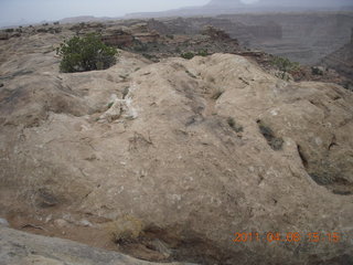 254 7j8. Canyonlands Needles Slickrock hike