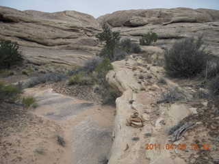 267 7j8. Canyonlands Needles Slickrock hike