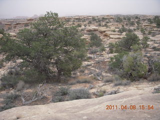 277 7j8. Canyonlands Needles Slickrock hike