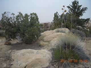 282 7j8. Canyonlands Needles Slickrock hike