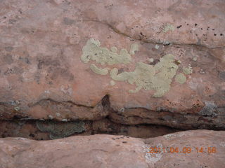 263 7j9. Dead Horse Point - Rim View - gap in rocks with lichens