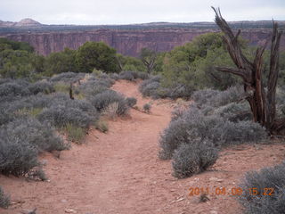 267 7j9. Dead Horse Point hike
