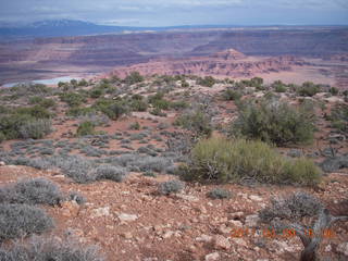 304 7j9. Dead Horse Point - Basin View hike