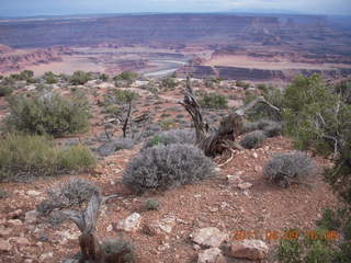 305 7j9. Dead Horse Point - Basin View hike