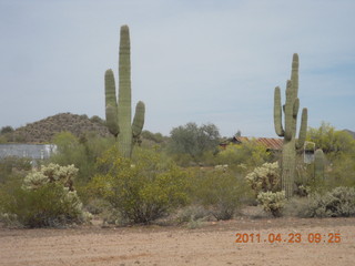 44 7jp. Vulture Mine airstrip run